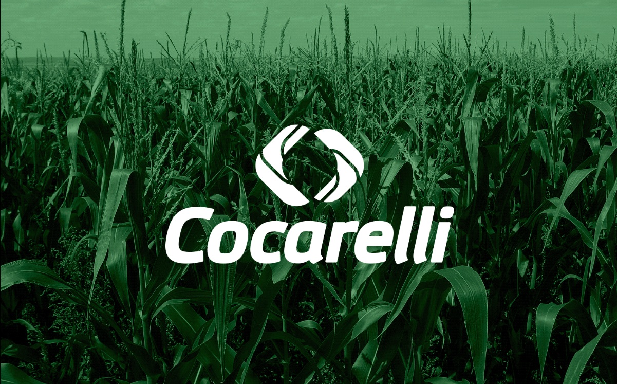 Bem vindo ao Cocarelli!